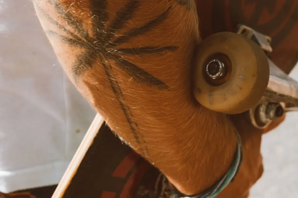 Close-up of a tattooed arm holding a skateboard in sunlight